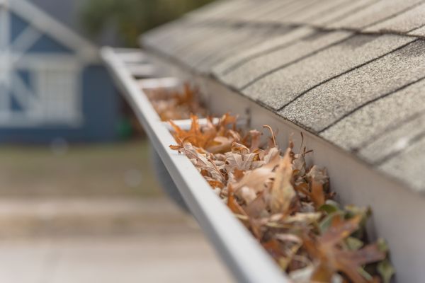Leaf Barrier Installation in Doylestown